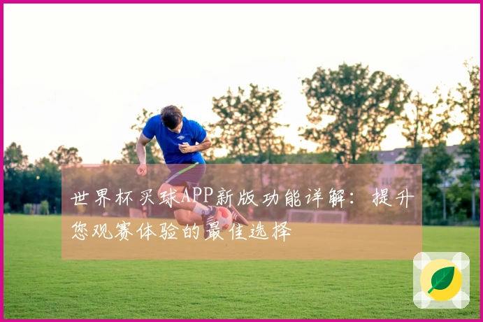 世界杯买球APP新版功能详解：提升您观赛体验的最佳选择