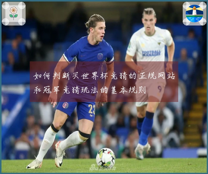 如何判断买世界杯竞猜的正规网站和冠军竞猜玩法的基本规则