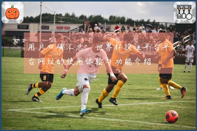 用户口碑汇总：世界杯投注平台平台网址的使用体验与功能介绍