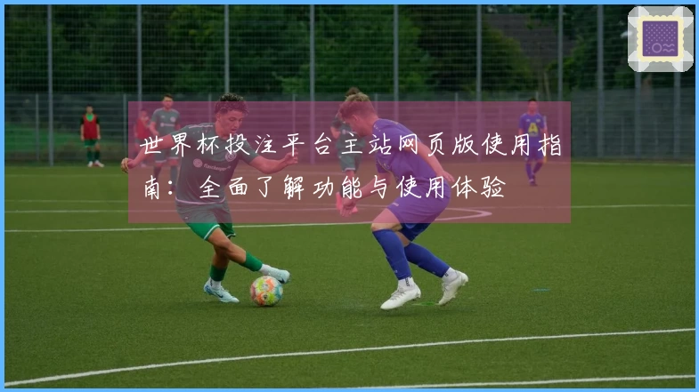 世界杯投注平台主站网页版使用指南：全面了解功能与使用体验
