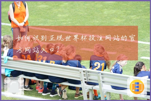 如何识别正规世界杯投注网站的官方网站入口?
