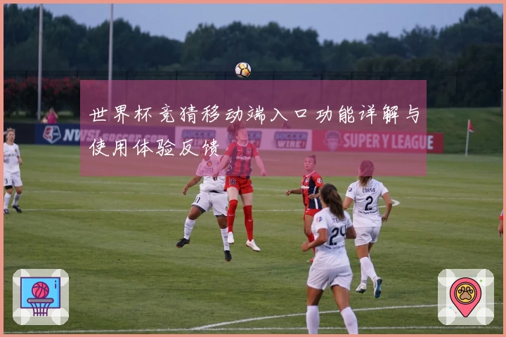 世界杯竞猜移动端入口功能详解与使用体验反馈