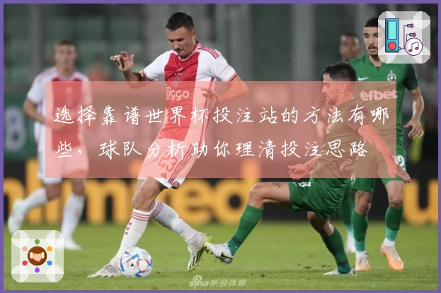 选择靠谱世界杯投注站的方法有哪些，球队分析助你理清投注思路