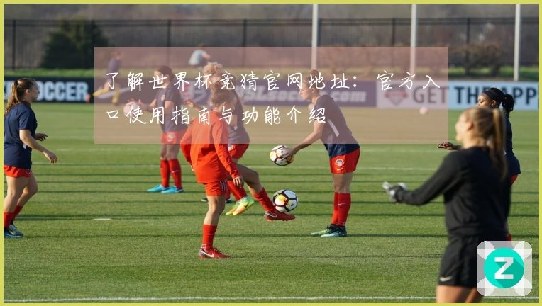 了解世界杯竞猜官网地址：官方入口使用指南与功能介绍