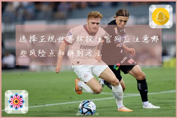 选择正规世界杯投注官网应注意哪些风险点和辨别方法