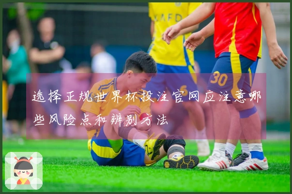 选择正规世界杯投注官网应注意哪些风险点和辨别方法