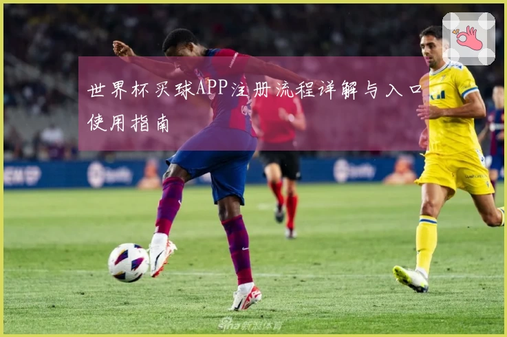 世界杯买球APP注册流程详解与入口使用指南