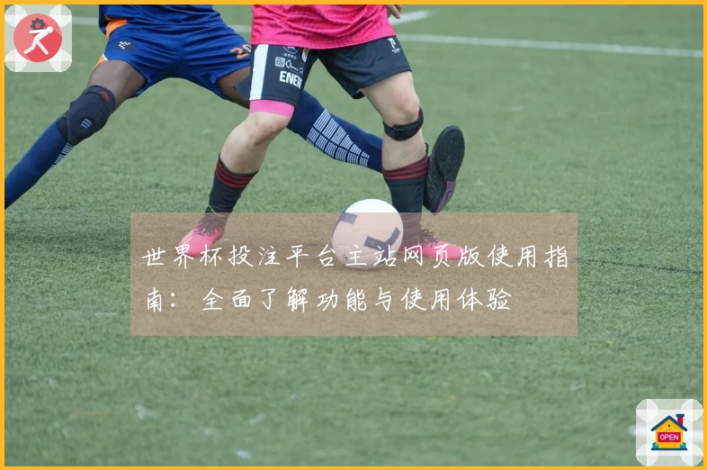 世界杯投注平台主站网页版使用指南：全面了解功能与使用体验